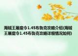 海贼王屠魔令1.45布鲁克攻略介绍(海贼王屠魔令1.45布鲁克攻略详细情况如何)