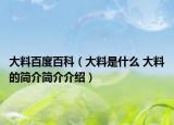 大料百度百科（大料是什么 大料的简介简介介绍）