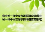 像中枪一样中文音译歌词介绍(像中枪一样中文音译歌词详细情况如何)