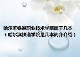 哈尔滨铁道职业技术学院属于几本（哈尔滨铁道学院是几本简介介绍）