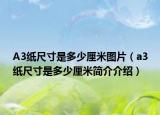 A3纸尺寸是多少厘米图片（a3纸尺寸是多少厘米简介介绍）