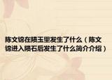 陈文锦在陨玉里发生了什么（陈文锦进入陨石后发生了什么简介介绍）