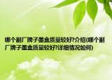 哪个副厂牌子墨盒质量较好?介绍(哪个副厂牌子墨盒质量较好?详细情况如何)