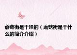 蘑菇街是干啥的（蘑菇街是干什么的简介介绍）