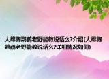 大绯胸鹦鹉老野能教说话么?介绍(大绯胸鹦鹉老野能教说话么?详细情况如何)