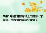 苹果11的首发时间和上市时间（苹果11正式发售时间简介介绍）