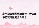 发电功率和发电量单位（什么是单位发电量简介介绍）