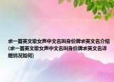 求一首英文歌女声中文名叫身价牌求英文名介绍(求一首英文歌女声中文名叫身价牌求英文名详细情况如何)