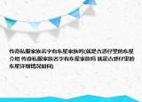 传奇私服家族名字有东星家族吗(就是古惑仔里的东星介绍 传奇私服家族名字有东星家族吗 就是古惑仔里的东星详细情况如何)