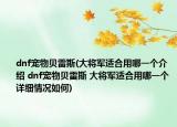 dnf宠物贝雷斯(大将军适合用哪一个介绍 dnf宠物贝雷斯 大将军适合用哪一个详细情况如何)