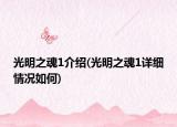 光明之魂1介绍(光明之魂1详细情况如何)