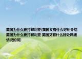 美国为什么要打叙利亚(美国又有什么好处介绍 美国为什么要打叙利亚 美国又有什么好处详细情况如何)