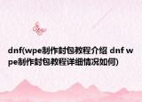 dnf(wpe制作封包教程介绍 dnf wpe制作封包教程详细情况如何)