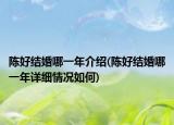 陈好结婚哪一年介绍(陈好结婚哪一年详细情况如何)
