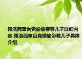 佩洛西窜台竟偷偷带着儿子详细内容 佩洛西窜台竟偷偷带着儿子具体介绍