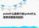 poke什么意思介绍(poke什么意思详细情况如何)