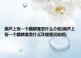 葫芦上有一个麒麟寓意什么介绍(葫芦上有一个麒麟寓意什么详细情况如何)