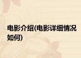 电影介绍(电影详细情况如何)
