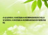 小宝宝快快长大你是我的未来是哪首歌的歌词介绍(小宝宝快快长大你是我的未来是哪首歌的歌词详细情况如何)