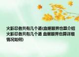 火影忍者共有几个遁(血继眼界也算介绍 火影忍者共有几个遁 血继眼界也算详细情况如何)
