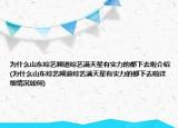 为什么山东综艺频道综艺满天星有实力的都下去啦介绍(为什么山东综艺频道综艺满天星有实力的都下去啦详细情况如何)