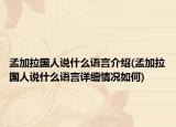 孟加拉国人说什么语言介绍(孟加拉国人说什么语言详细情况如何)