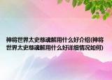神将世界太史慈魂解用什么好介绍(神将世界太史慈魂解用什么好详细情况如何)