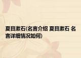 夏目漱石(名言介绍 夏目漱石 名言详细情况如何)