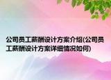 公司员工薪酬设计方案介绍(公司员工薪酬设计方案详细情况如何)