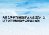 为什么李子柒的视频那么火介绍(为什么李子柒的视频那么火详细情况如何)