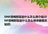 DNF透明时装是什么怎么得介绍(DNF透明时装是什么怎么得详细情况如何)