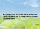 赛尔号地面系(火系 草系 普通系 暗影系分别练什么好介绍 赛尔号地面系 火系 草系 普通系 暗影系分别练什么好详细情况如何)