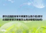 摩尔庄园的笨笨天使蛋怎么用介绍(摩尔庄园的笨笨天使蛋怎么用详细情况如何)