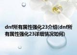 dnf所有属性强化23介绍(dnf所有属性强化23详细情况如何)