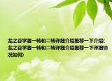龙之谷学者一转和二转详细介绍推荐一下介绍(龙之谷学者一转和二转详细介绍推荐一下详细情况如何)