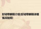 好词带解释介绍(好词带解释详细情况如何)