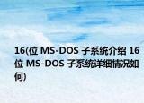 16(位 MS-DOS 子系统介绍 16 位 MS-DOS 子系统详细情况如何)