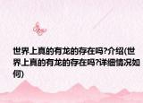 世界上真的有龙的存在吗?介绍(世界上真的有龙的存在吗?详细情况如何)