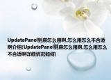 UpdatePanel到底怎么用啊,怎么用怎么不合适啊介绍(UpdatePanel到底怎么用啊,怎么用怎么不合适啊详细情况如何)