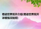 奇迹世界双开介绍(奇迹世界双开详细情况如何)