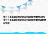 有什么手机网络游戏可以挂机自动在打的介绍(有什么手机网络游戏可以挂机自动在打的详细情况如何)