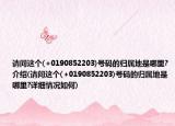 请问这个(+0190852203)号码的归属地是哪里?介绍(请问这个(+0190852203)号码的归属地是哪里?详细情况如何)