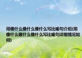 用像什么像什么像什么写比喻句介绍(用像什么像什么像什么写比喻句详细情况如何)