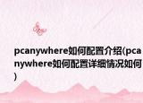 pcanywhere如何配置介绍(pcanywhere如何配置详细情况如何)