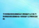 今年阿根廷败给德国的最大原因是什么介绍(今年阿根廷败给德国的最大原因是什么详细情况如何)