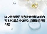 ESO组合模仿行为涉嫌侵权详细内容 ESO组合模仿行为涉嫌侵权具体介绍