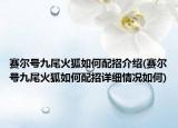 赛尔号九尾火狐如何配招介绍(赛尔号九尾火狐如何配招详细情况如何)