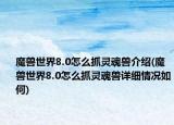 魔兽世界8.0怎么抓灵魂兽介绍(魔兽世界8.0怎么抓灵魂兽详细情况如何)