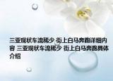 三亚现状车流稀少 街上白马奔跑详细内容 三亚现状车流稀少 街上白马奔跑具体介绍
