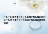 什么什么,相当于什么什么的句子怎么写介绍(什么什么,相当于什么什么的句子怎么写详细情况如何)